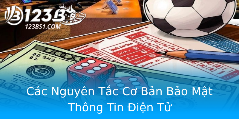 Các Nguyên Tắc Cơ Bản Bảo Mật Thông Tin Điện Tử