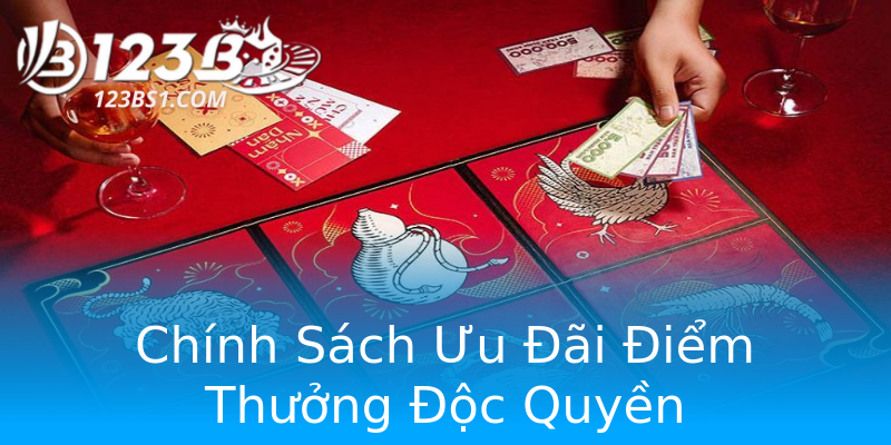 Chính Sách Ưu Đãi Điểm Thưởng Độc Quyền