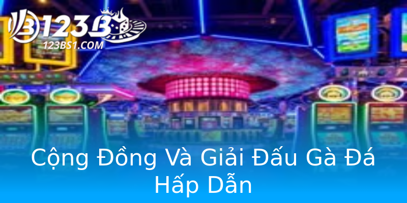 Cộng Đồng Và Giải Đấu Gà Đá Hấp Dẫn