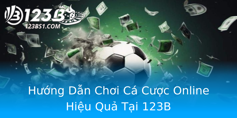 Hướng Dẫn Chơi Cá Cược Online Hiệu Quả Tại 123B