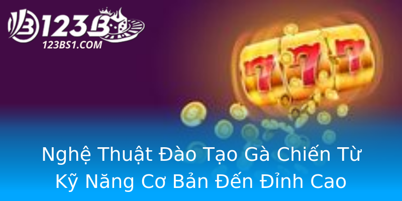 Nghệ Thuật Đào Tạo Gà Chiến Từ Kỹ Năng Cơ Bản Đến Đỉnh Cao