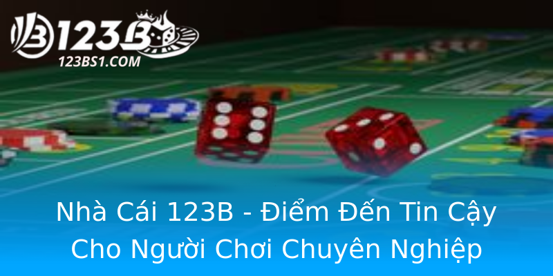 Nhà Cái 123B - Điểm Đến Tin Cậy Cho Người Chơi Chuyên Nghiệp