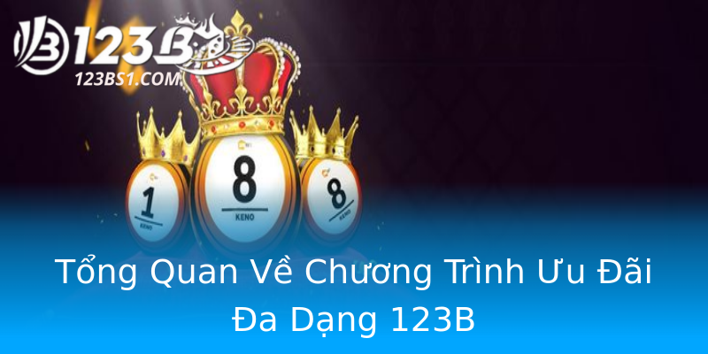 Tổng Quan Về Chương Trình Ưu Đãi Đa Dạng 123B