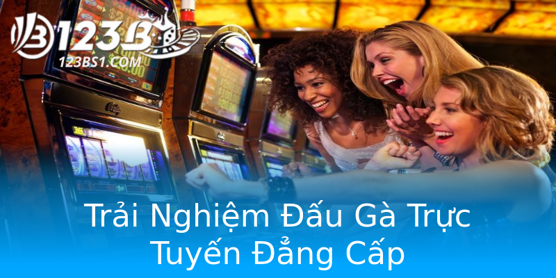 Trải Nghiệm Đấu Gà Trực Tuyến Đẳng Cấp